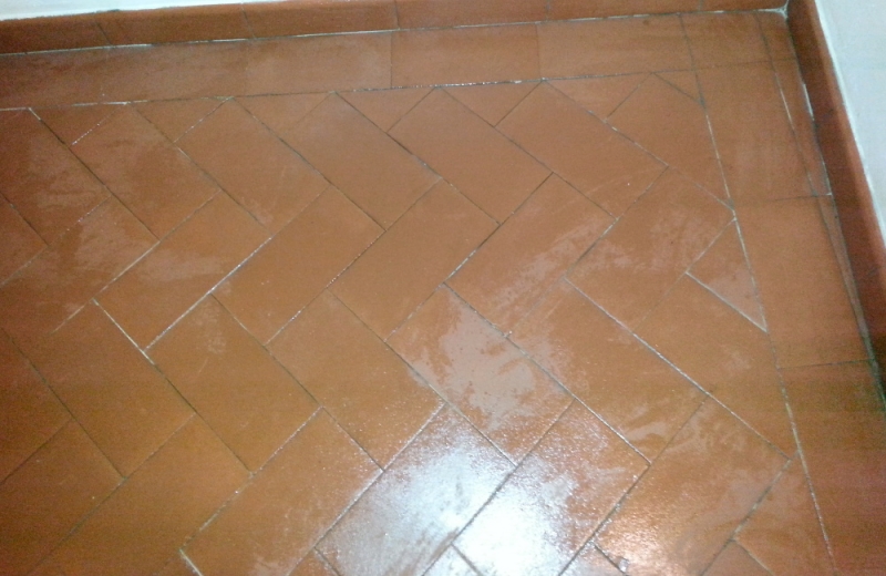 Olio Di Lino Per Pavimenti In Cotto olio di lino per ravvivare pavimenti in cotto fai da te Olio Di Lino Per Pavimenti In Cotto olio di lino per ravvivare pavimenti in cotto fai da te