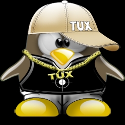 Ricompilazione del Kernel Linux, Linux