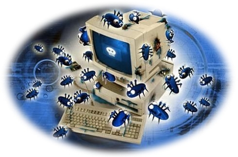 Antivirus no grazie, Informatica