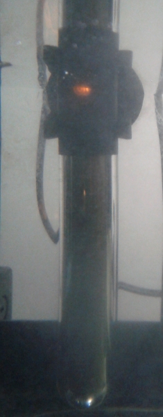Riscaldatore acquario immerso, Casa