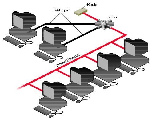 Struttura di una rete lan, Informatica