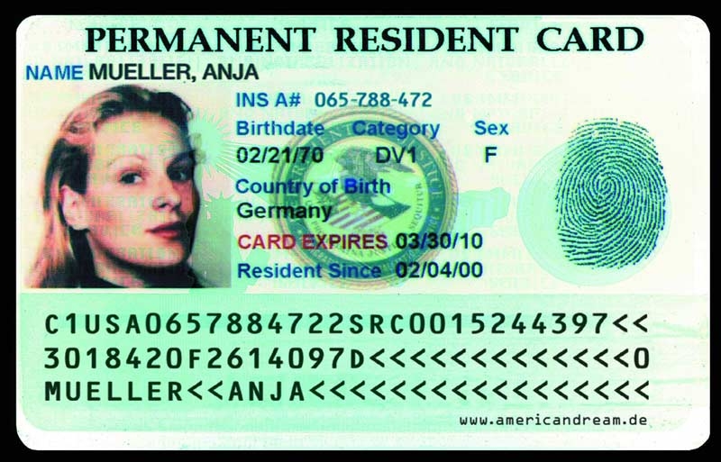 Vincere la green card, Altro