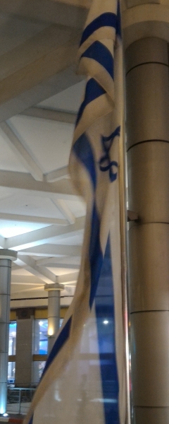 bandiera israeliana, Altro